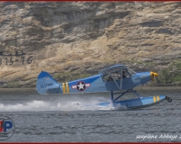 TSR Watermark - 0252